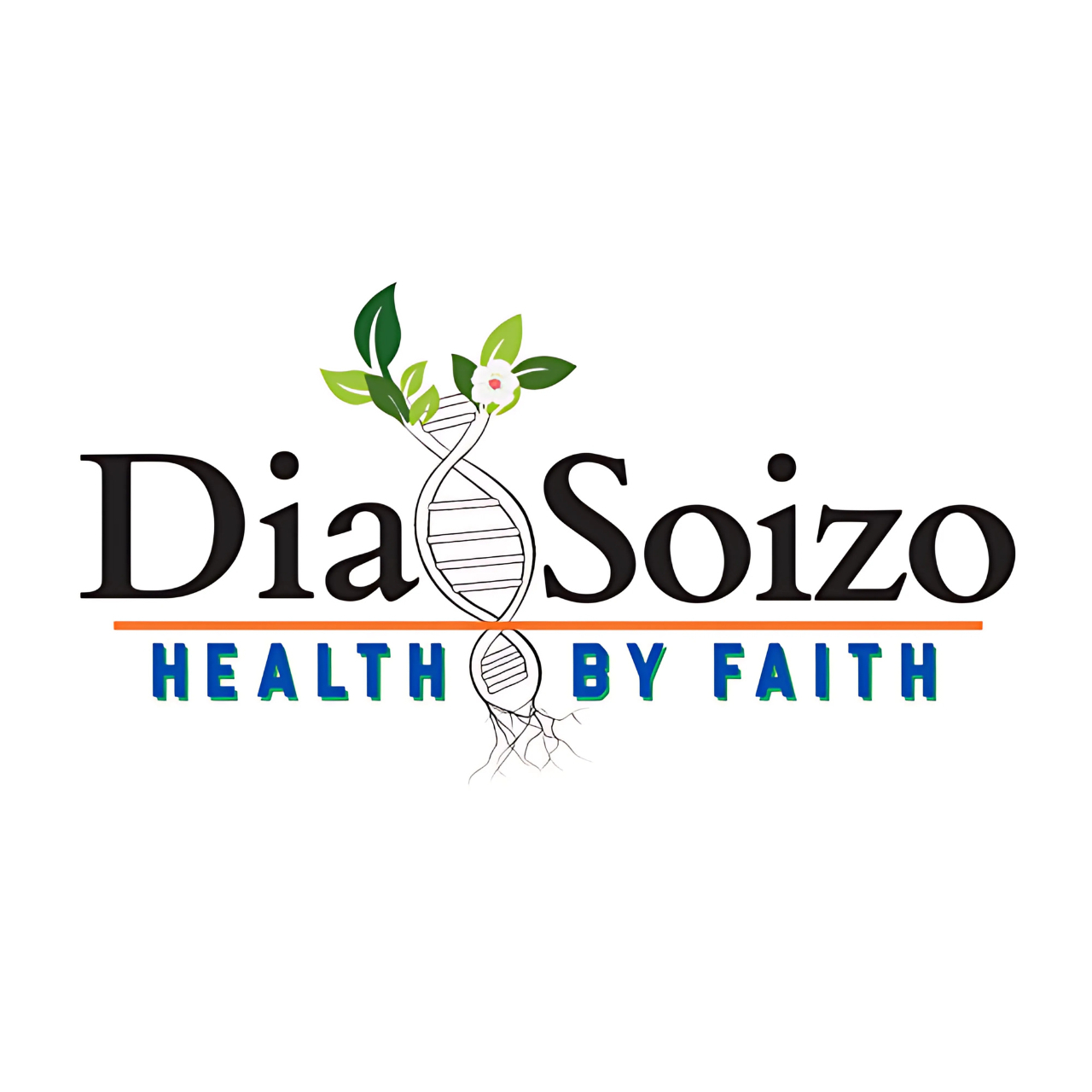 Logo Dia Soizo
